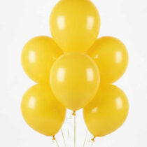 0058657_palloncini-lattice-giallo-varie-misure