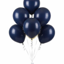 0059909_palloncini-lattice-navy-varie-misure
