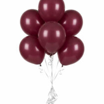 0059911_palloncini-lattice-vino-varie-misure